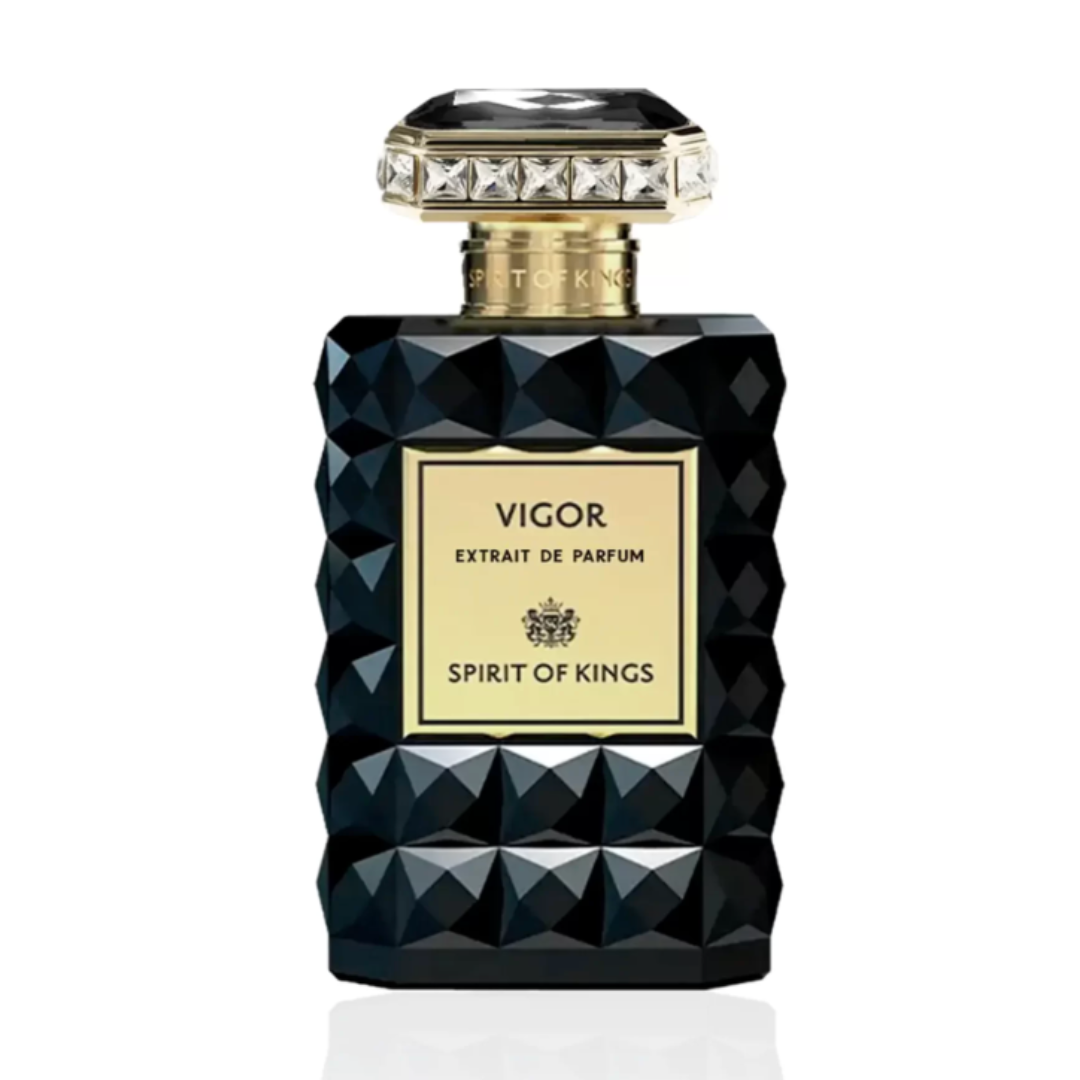 Vigor Profumo Spirit of Kings